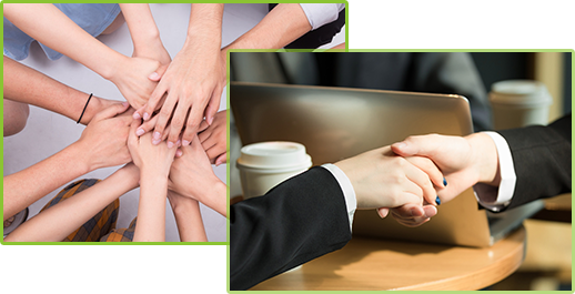 產品質量穩(wěn)定、體系健全